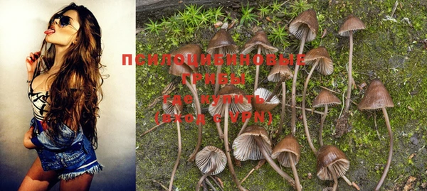прущая мука Алзамай
