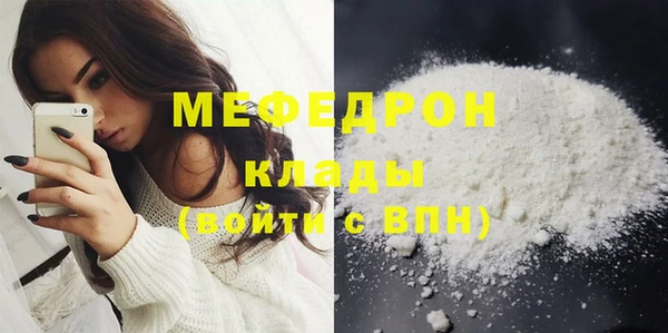 индика Михайлов